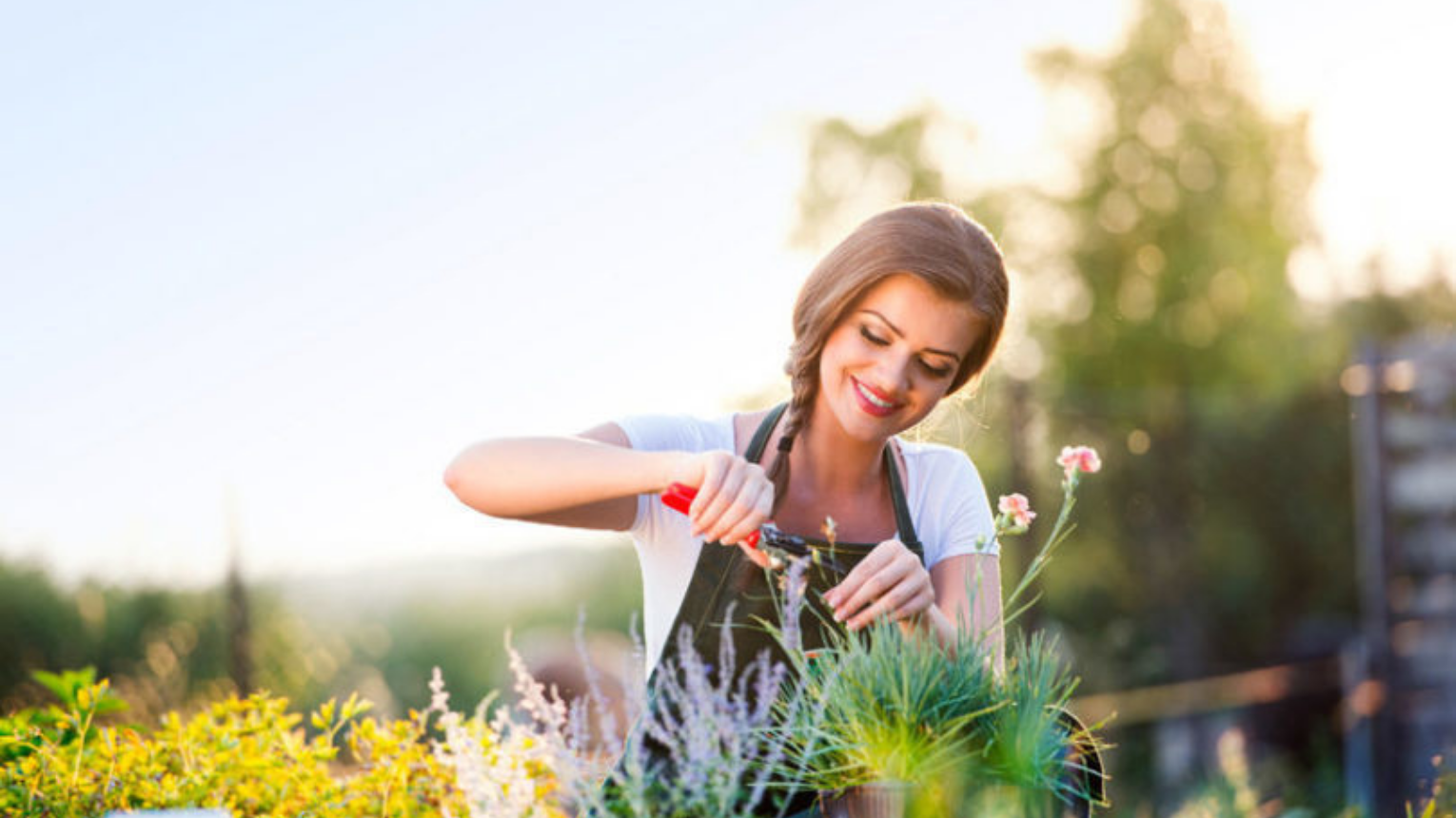 Hobbi kertész tanfolyam/Gyógynövények kurzus 1