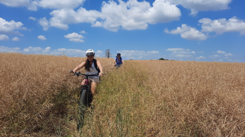 Lali prédikál e-mtb élménytúra a Dunakanyarban 3