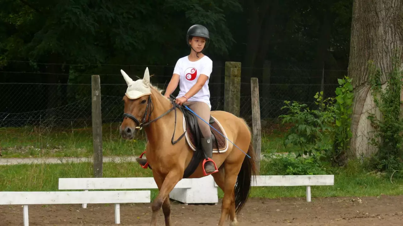 Lovasoktatás karámban gyerekeknek a Wackor lovastanyán fő kép