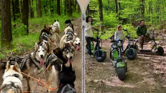 Standard Husky kutyafogat túra és utána E-scooter kalandozás a Mátrában kosár