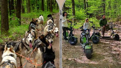 Standard Husky kutyafogat túra és utána E-scooter kalandozás a Mátrában 1