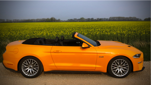 Ford Mustang Cabrio 5.0 V8 bérlés 1