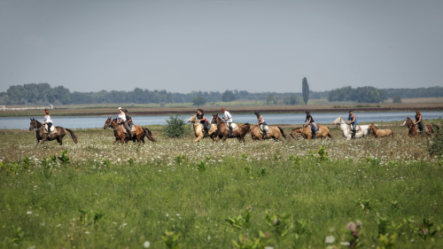 Attila túra - 1 hetes túralovaglás Akhal Teke lovakon Ópusztaszeren 2