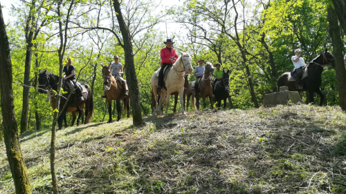 Attila túra - 1 hetes túralovaglás Akhal Teke lovakon Ópusztaszeren 4