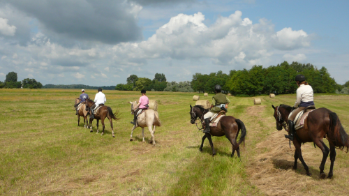 Attila túra - 1 hetes túralovaglás Akhal Teke lovakon Ópusztaszeren 6