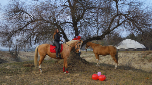 Lovas fotózás Akhal Teke lovakkal – Egy életre szóló emlék Ópusztaszeren! 4