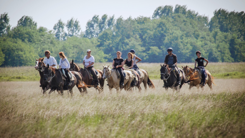 Attila túra - 1 hetes túralovaglás Akhal Teke lovakon Ópusztaszeren 8