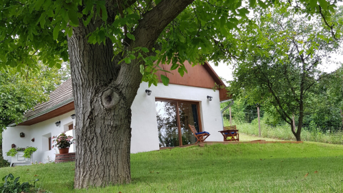 Párosan Suttogó romantikázás a Ságvári szőlőhegyen 1