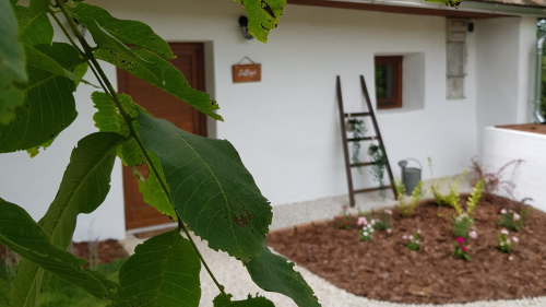 Párosan Suttogó romantikázás a Ságvári szőlőhegyen 8