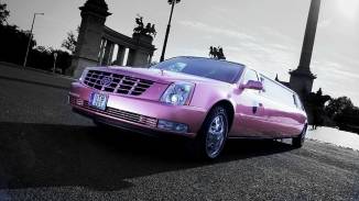 Pink Cadillac limuzin kosár