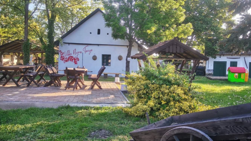 Relaxáljatok a Repülős Tájházban, a Villa Negra Tanyán a Tiszánál 6