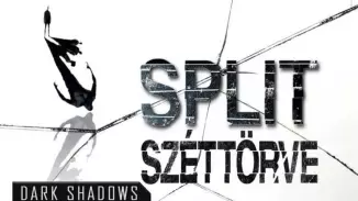 Split/Széttörve-szabadulószoba élmény kosár