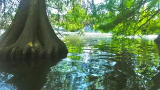 Céges SUPer kaland a Kőrösön a kollégákkal kosár