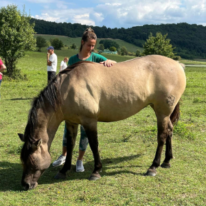 Suttogó erő családi program - Talpig lovas család Hollókőn 8