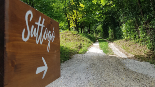 Suttogó Párkapcsolati kalandtúra csomag a Ságvári szőlőhegyen 9