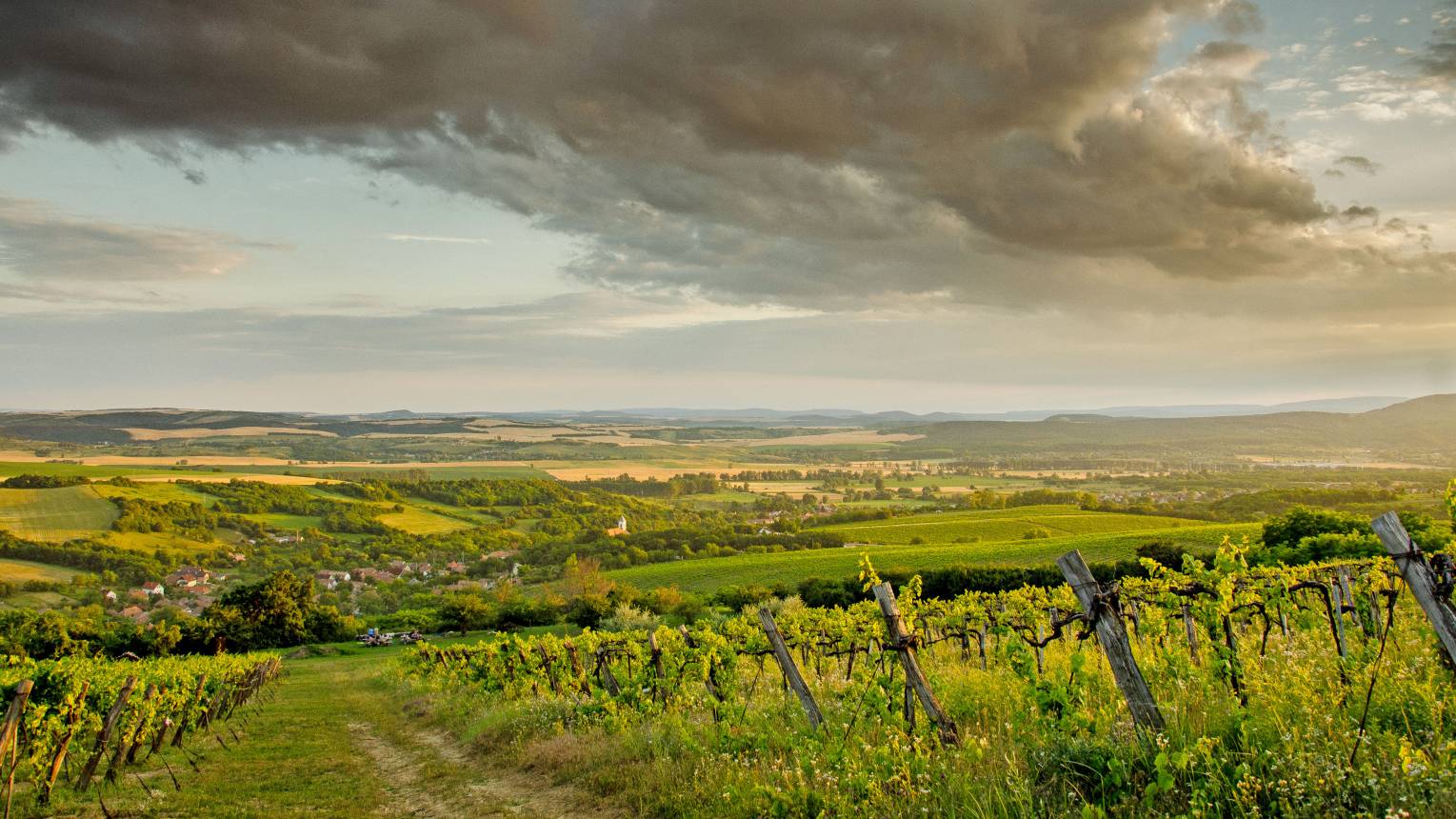 Dűlő túra terepjáróval és borkóstoló 6