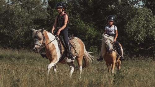 Felnőtteknek Tereplovaglás a Dunakanyarban a hegyek alatt, vízparton! 2