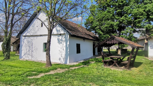 Csapatépítés a Villa Negra Tanyán a Tisza mentén 18