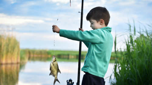 Apa-fia horgászkaland a Tisza-tavon csónakból 1