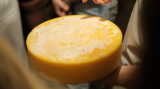 Privát 5 órás trappista sajtkészítő workshop Piliscsabán kosár